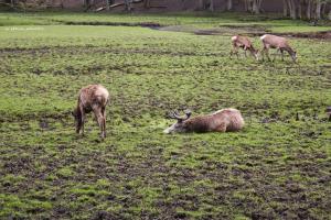 Eekholt_2024_WS (46)
