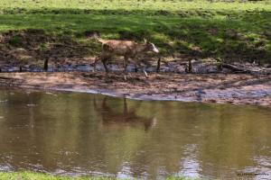 Eekholt_2024_WS (47)